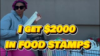 Food stamp grocery haul [upl. by Arualana]