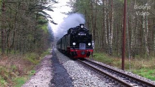 Eisenbahn 2012 25 Dampfloks  Steam Trains  Züge [upl. by Neened280]