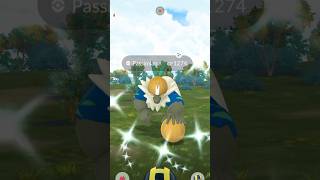 Shiny Passimian in Pokémon GO pokemongo [upl. by Ekusoyr581]