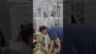 Mung bean black gram peeling machine [upl. by Esidarap220]