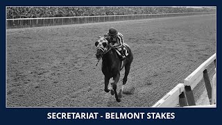 Secretariat  Belmont Stakes 1973 [upl. by Tonina888]