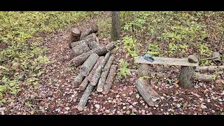 woodshed build firewood processing [upl. by Gordan474]