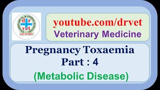 Pregnancy Toxaemia Part 4 [upl. by Hoyt278]