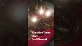 Kamakhya Tantra Study Day 3 Navratri navratri kamakhyasecrets youtubeshorts [upl. by Damek778]