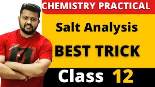 Class 12 Chemistry Practicals  Best Trick for Salt Analysis 01  Analysis of Acidic Radicals [upl. by Bergeman]