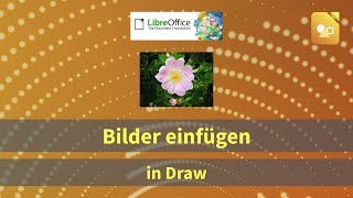 Bilder einfügen in Draw  LibreOffice GermanDeutsch [upl. by Sollars]