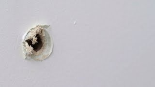 Patch Screw Holes In Drywall In 4 Easy Steps  The Spruce HowToPatchScrewHolesInDrywall [upl. by Aydin390]