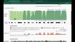 gnomAD tutorial [upl. by Araj963]