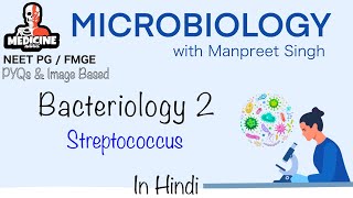 Microbiology 11  Streptococcus  Microbiology in Hindi  Neet FMGE BSc 2024 [upl. by Trilby]