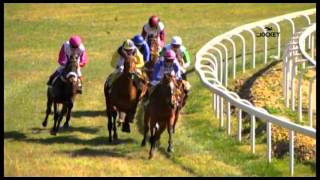 1 Carrera premio RTVE 28 de febrero 2016  Gran Hipódromo de Andalucía Dos Hermanas [upl. by Alliuqa]