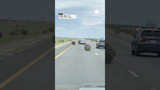 Barrage of Tumbleweeds hits California Interstate [upl. by Magdalena]