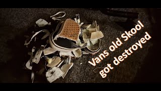 Vans old Skool Destroyed [upl. by Coretta]