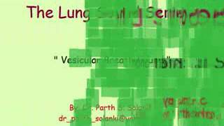 Breath Sound Bronchial vs Vesicular [upl. by Chivers]