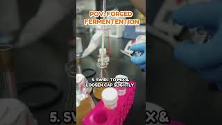 POV Forced Fermentation [upl. by Alemak442]