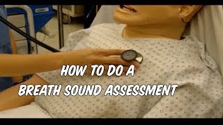 Breath Sound Assessment  Medical Review [upl. by Norac55]