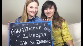 Fantastyczne zwierzęta i jak je znaleźć książka i film bez Harrego Pottera KrótkaPrzerwa10 [upl. by Handler]