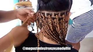 Trenzas sueltas en toda la cabeza [upl. by Mchail]