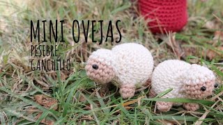 Tutorial Mini Oveja Amigurumi Nacimiento [upl. by Sallie]