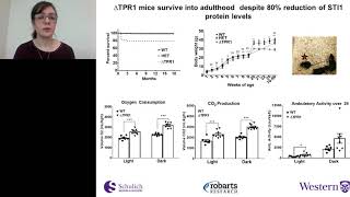 Investigating the roles of the Hsp90 cochaperone STI1 in neuronal resilience during aging [upl. by Timothea]