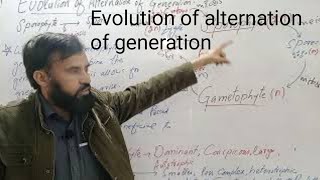 Evolution of alternation of generation [upl. by Sherrard]