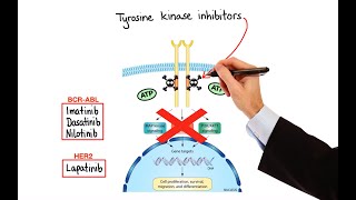 Pharmacology  CANCER DRUGS – CELL CYCLE INHIBITORS MADE EASY [upl. by Attena]