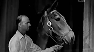 Whats My Line  Francis the Talking Mule Aug 3 1952 [upl. by Ellebanna]