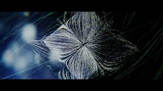 Blender 3 Abstract Particle Simulations Advanced Abstract Particles in 30 [upl. by Ahseem]