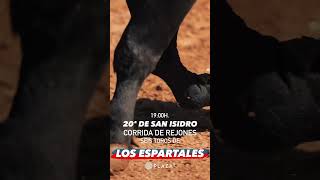 SAN ISIDRO 2024 20° de feria Toros Los Espartales para Rui Fernandes Sergio Galán y Diego Ventura [upl. by Hairom]