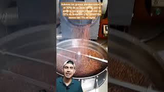 Cambios físicos y químicos durante la tostion del café ☕ cafe agroindustria [upl. by Refanej]