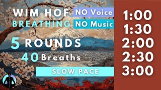 WIM HOF Guided Breathing  40 Breaths 5 Rounds Slow Pace  To 300min No Voice No Music [upl. by Ettezus437]