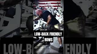 Best Lower Back Friendly Rowing Movements [upl. by Fife]