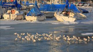 ICE BOAT  FROZEN PORT CHOISEUL VERSOIX LAKE GENEVA [upl. by Aneeb348]