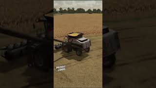 Corn Harvest with Gleaner S98 Combine Harvester  Farming Simulator 22 [upl. by Ciapha]