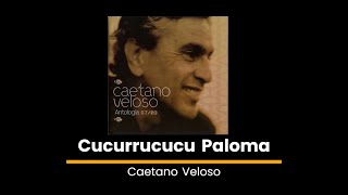 Cucurrucucu Paloma  Caetano Veloso  Lyrics [upl. by Igiul]