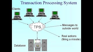 Transaction Processing System [upl. by Ulick133]