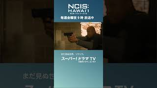 アメリカドラマ NCISハワイ シーズン3日本語字幕版 日本初放送！ 海外ドラマ 犯罪捜査ドラマ [upl. by Rolland]