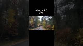 Best Fall color in Wisconsin autumn autumncolors 2024 shorts minocqua wisconsin [upl. by Hinze]