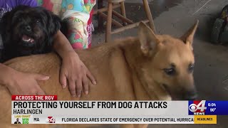 Protecting yourself from dog attacks [upl. by Ladd265]