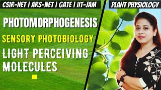 Photomorphogenesis  Photomorphogenesis in Plants CSIR NET  Sensory Photobiology CSIR NET [upl. by Hanikehs922]