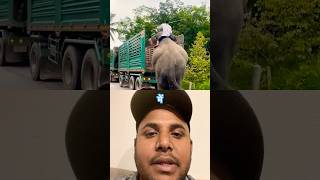 Elephant track me kaise chahta Hai 👀😱realfools funny trending reels elephant viralshorts ￼ [upl. by Clothilde]