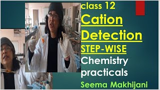 NEETJEE mains 2024 CATIONSTEP WISE in 15 minutes 2024 Chemistry PracticalsCBSE Class 11and12 [upl. by Arayc206]