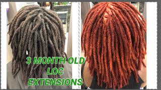 DYING LOC EXTENSIONS  SAME DAY INSTALL  TIPS AND PRECAUTIONS [upl. by Davison]