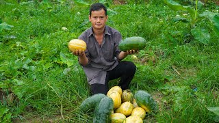 quotThe Journey of Harvesting Cantaloupes and Watermelons From Fields to Mountain Marketquot [upl. by Lama]