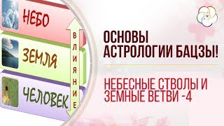 Полный анализ карты Бацзы для начинающих Расшифровка небесные стволы и земные ветви в карте Бацзы4 [upl. by Aicatsal403]