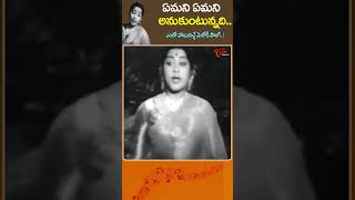 Emani Emani Anukuntunnadi Song  ఏమని ఏమని అనుకుంటున్నదిANR Murali Krishna shorts youtubeshorts [upl. by Ebby]