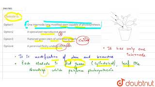 Cladode is  11  MORPHOLOGY OF FLOWERING PLANTS  BIOLOGY  A2Z  Doubtnut [upl. by Cummings]