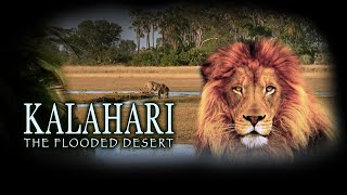 Kalahari The Flooded Desert Full Movie in HD [upl. by Yrakcaz]