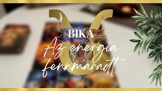 BIKA ♉️  Szerelmi Üzenet 💝  Az enegia fennmaradt ⚛️ [upl. by Eiramanel]