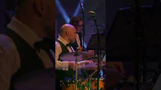 Big Band Grooving jazz jazzmusic bigband livejazz franksinatra [upl. by Wendie139]