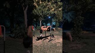 Back lever Hefesto PR abdullahcsw motivation streetworkout hefesto backlever calisthenics [upl. by Eetnod]